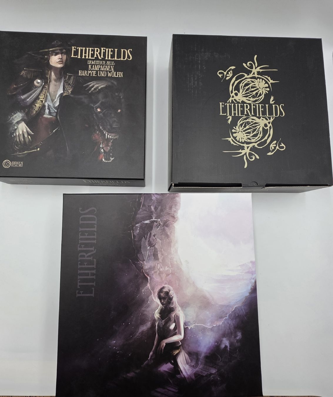 Jeux: Etherfields Brettspiel-Set Gamefound All In – Neuf (Voir description) à Wilen b. Wil par Banro1984
