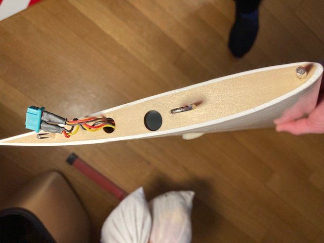 Modellismo RC: Planeur Krasivo de Topmodel 3480mm – Usato da Genève venduto da headlight 2