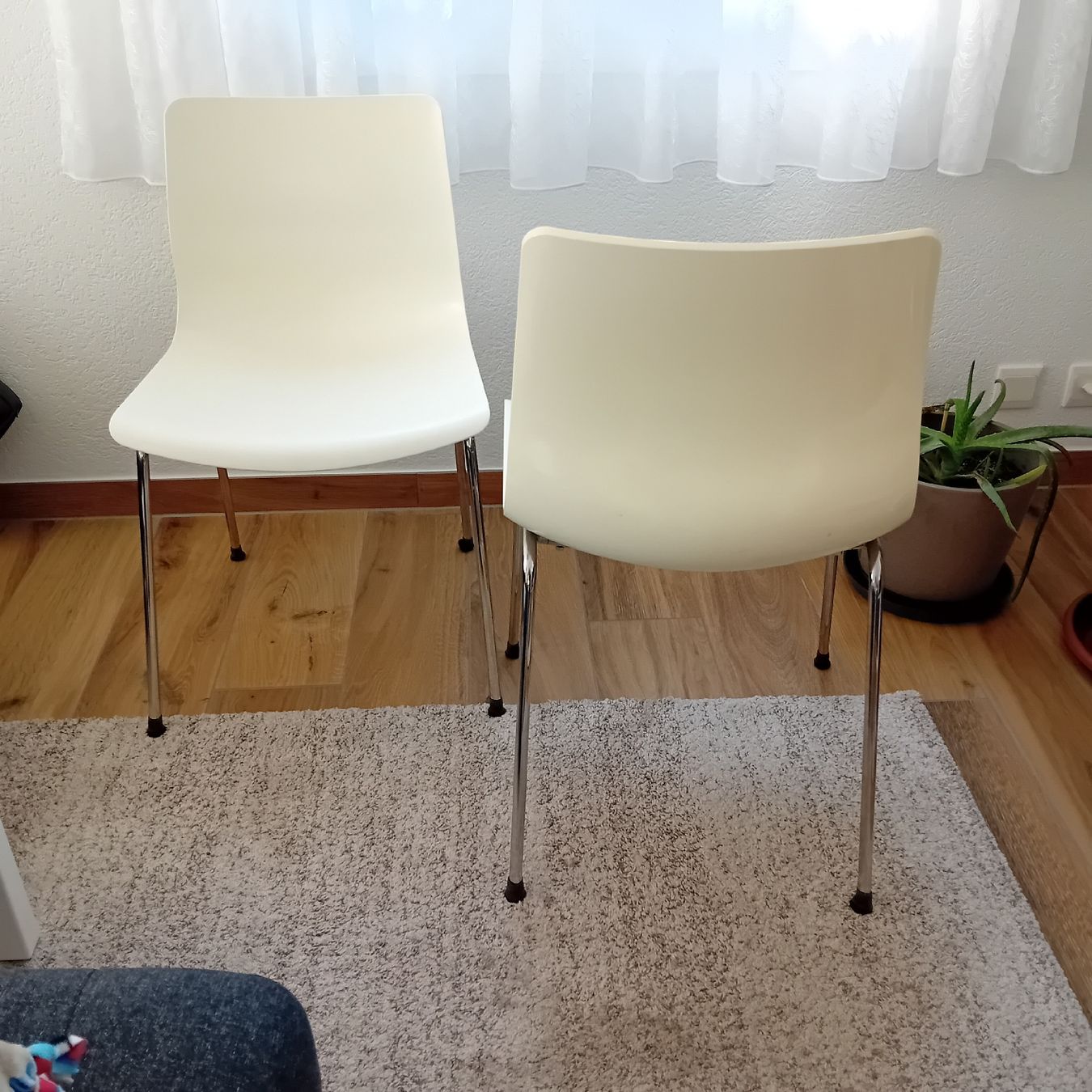 Ikea Sedie: 2 chaises blanches – Usato da Courtaman venduto da emmea