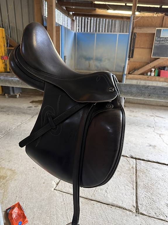 Selle & Accessori: Selle mixte venus Prestige 17" – Usato da St. Ursen venduto da ine_rp62 2