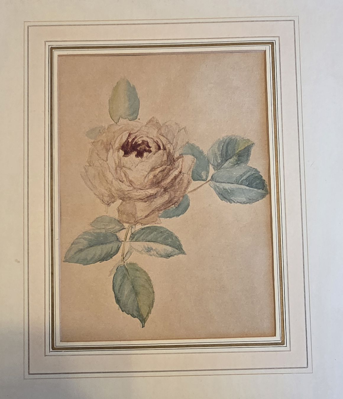 Dipinti: Original Aquarell Rose handgeschöpftes Papier – Usato da Rehetobel venduto da hobirot01 4