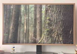 43ZollSamsung The Frame Fernseher gebraucht im guten Zustand