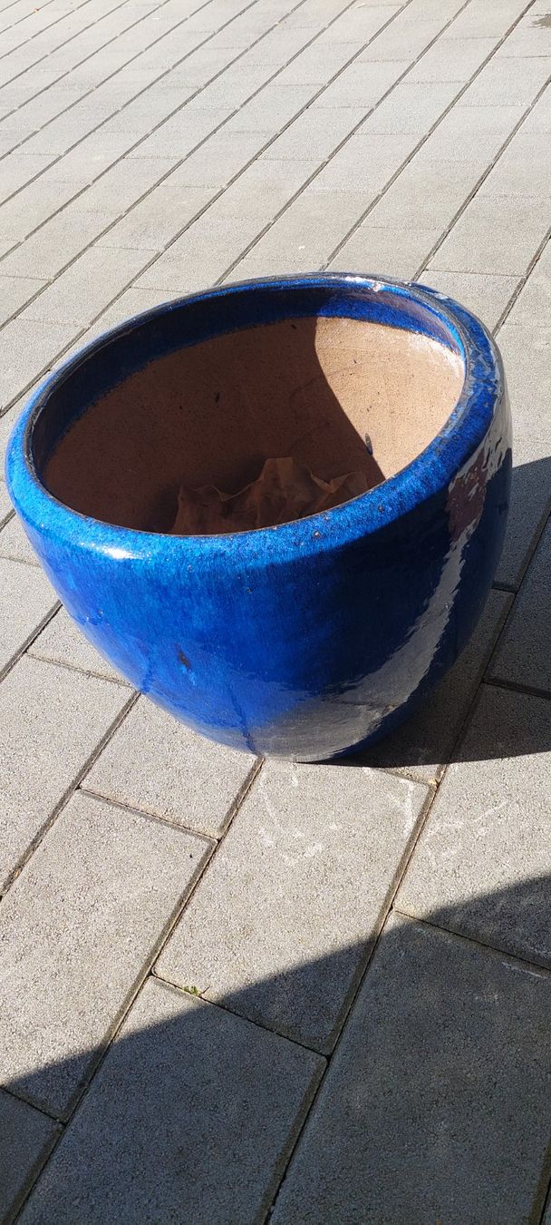 Vasi per fiori: Grosser Pflanztopf winterhart – Nuovo (secondo la descrizione) da RAMLINSBURG venduto da AUDITT1999 3