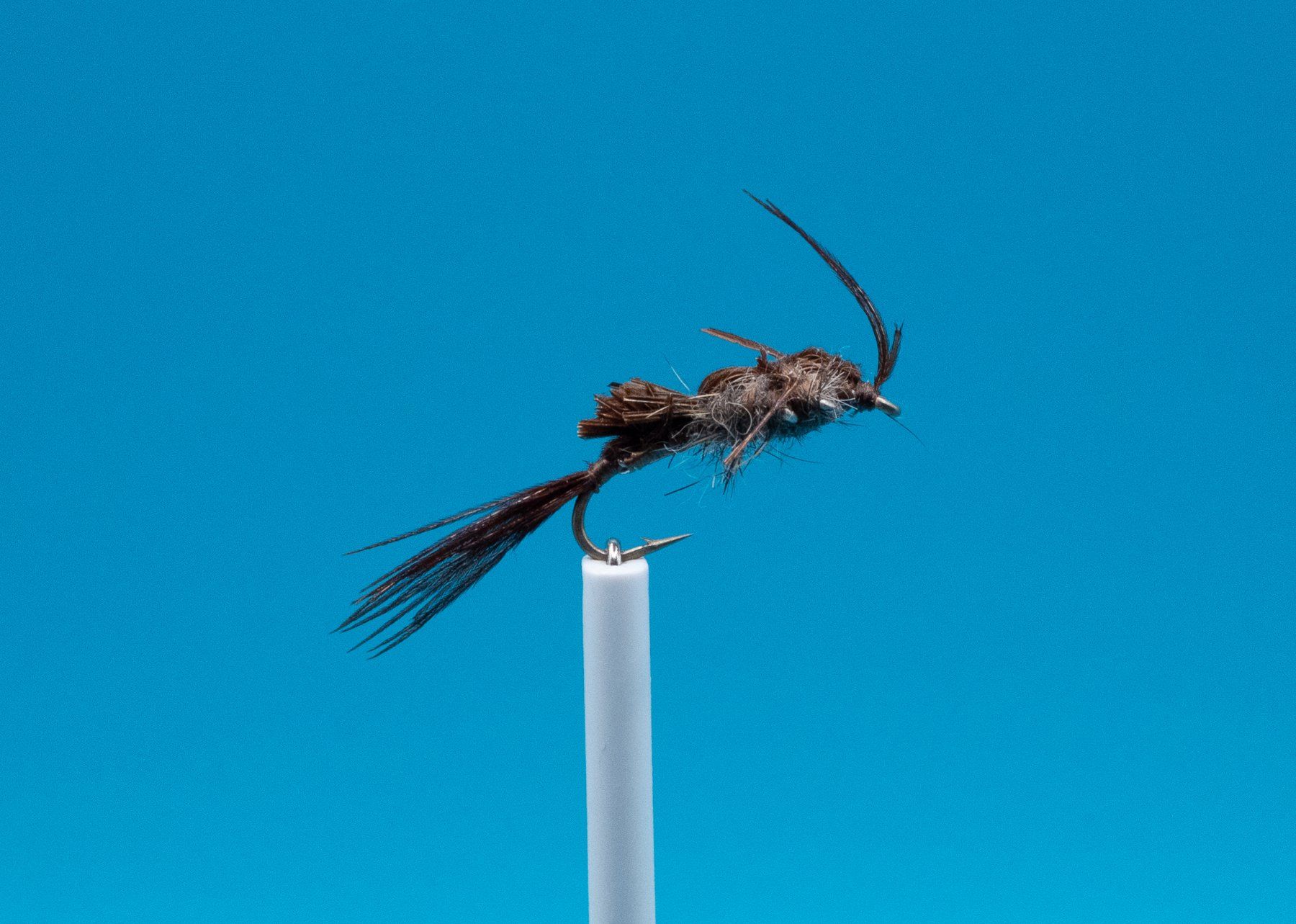 Esche: 20 verschiedene Fliegen und Nymphen – Nuovo e nell'imballaggio originale da Grenchen venduto da firefly2000 8