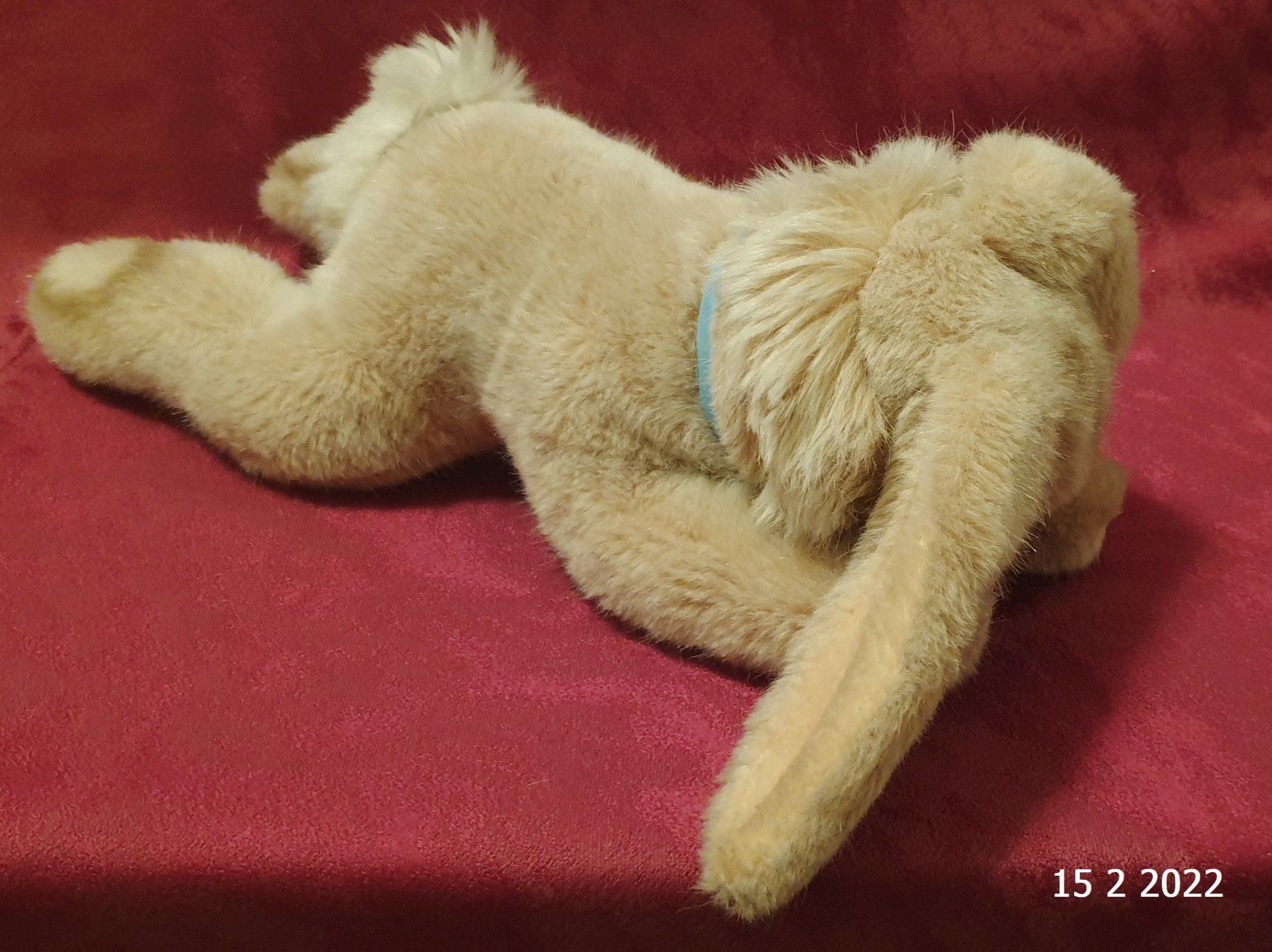 Giocattoli: Steiff Hase Floppy Hansi schlafend – Nuovo (secondo la descrizione) da Basel venduto da The_Onliners 1