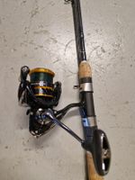 Angelrute Daiwa