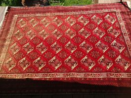 Teppich Afghanistan