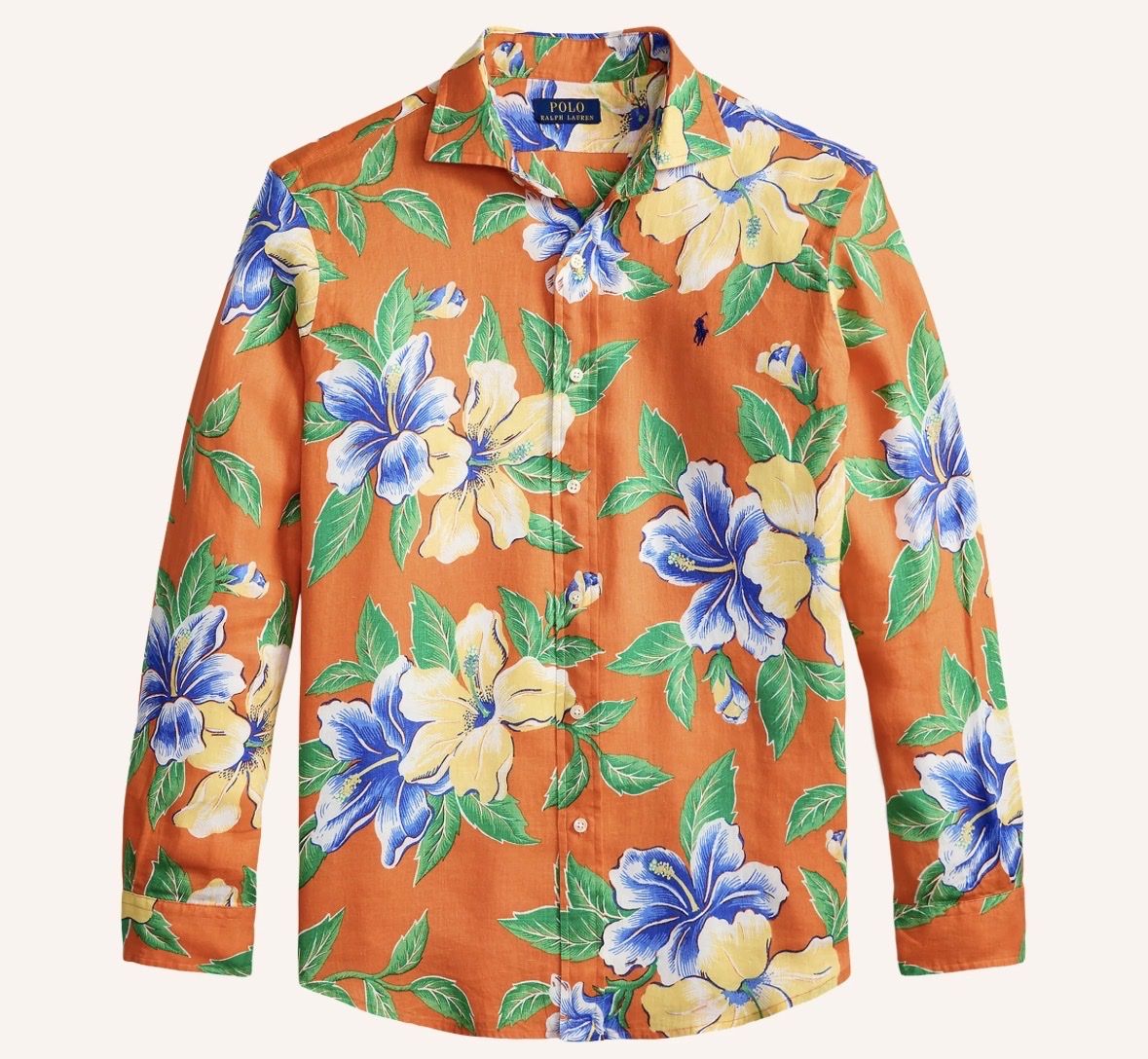 Ralph Lauren Hemden: Shirt RALPH LAUREN (M) – Neu (gemäss Beschreibung) aus Coppet von Apicius1
