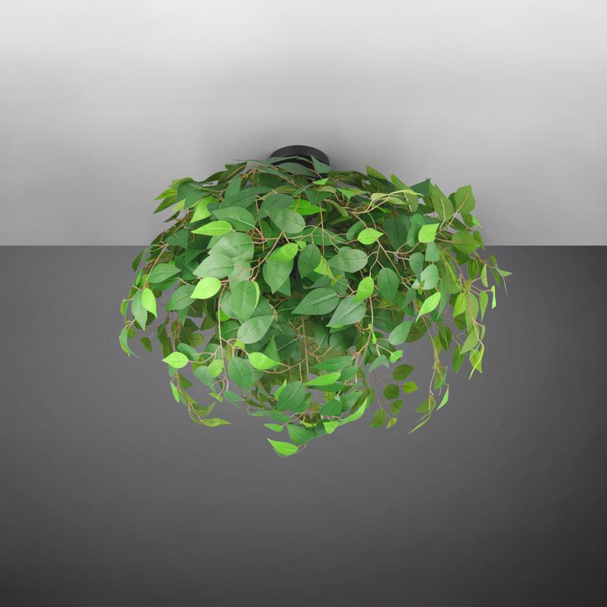 Kronleuchter & Deckenlampen: Dekorative Deckenleuchte, Grün, 70 cm Ø – Neu (gemäss Beschreibung) aus Kreuzlingen von Smart-Light 1
