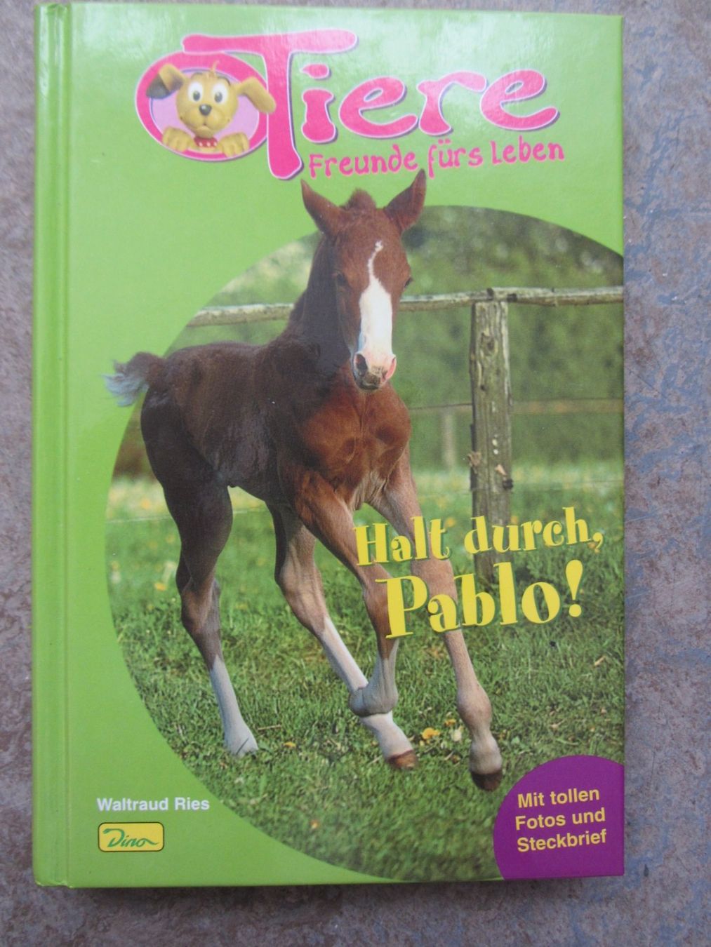 Libri: 4 Pferde Geschichten Bücher – Nuovo (secondo la descrizione) da Malters venduto da Hausi88 2