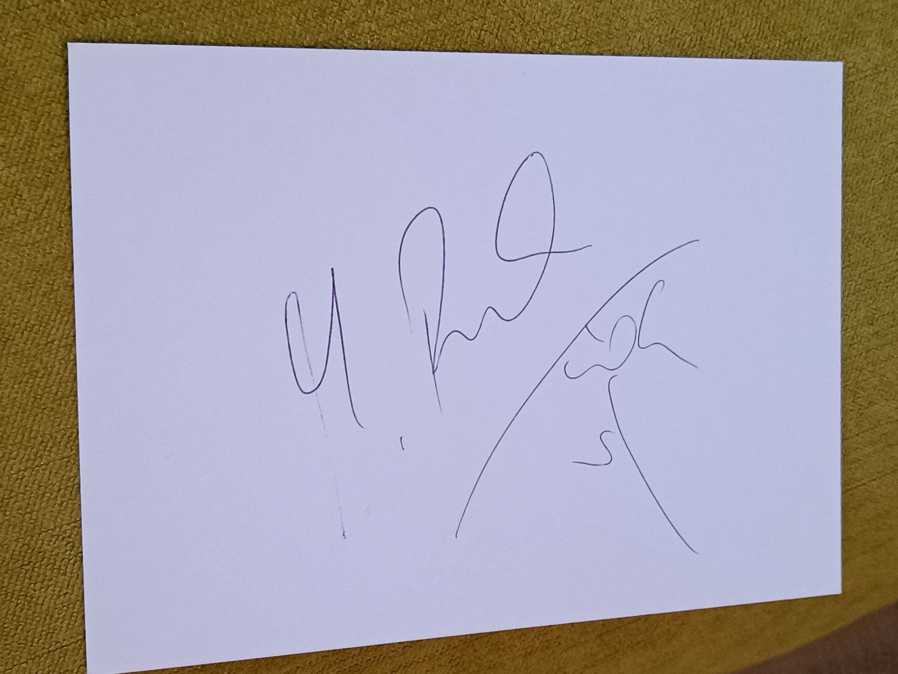 Autografi: Monika Pyrek - WM Silber - Leichtathlet -handsigniert – Usato da Menziken venduto da Artographs