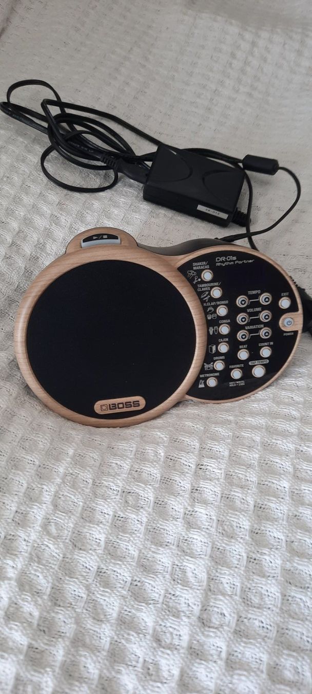 Boss Musikinstrumente: Boss drs1 Rythm Partner – Gebraucht aus Dörflingen von benipletscher