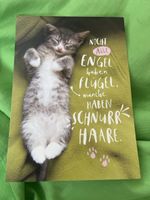 Süessi Glückwunschkarte - Katze, Engel, Schnurrhaare!