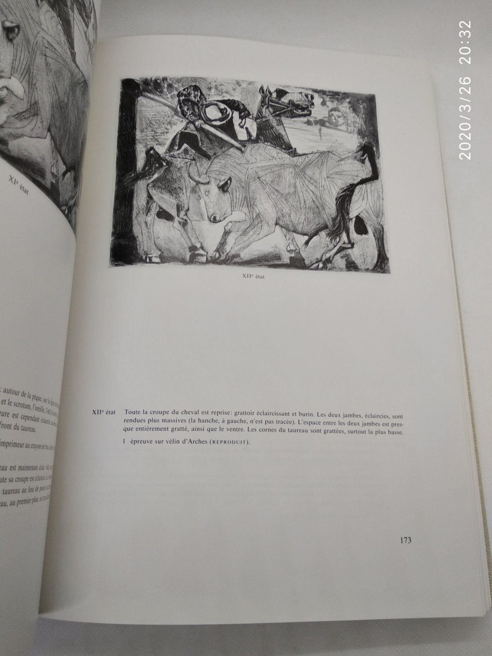 Libri: PABLO PICASSO WERKVERZEICHNIS – Usato da Goldach venduto da Gaip 8