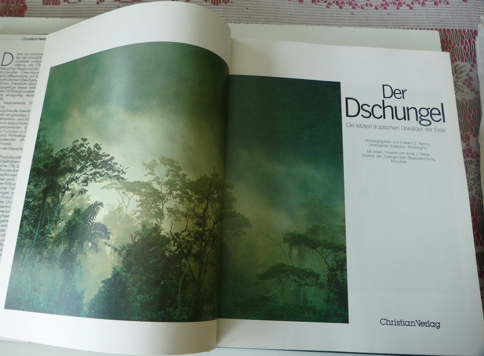 Libri: Buch – Usato da Dietlikon venduto da kes_j6d7 3