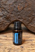 dōTERRA Peppermint 15 ml – neu & ungeöffnet