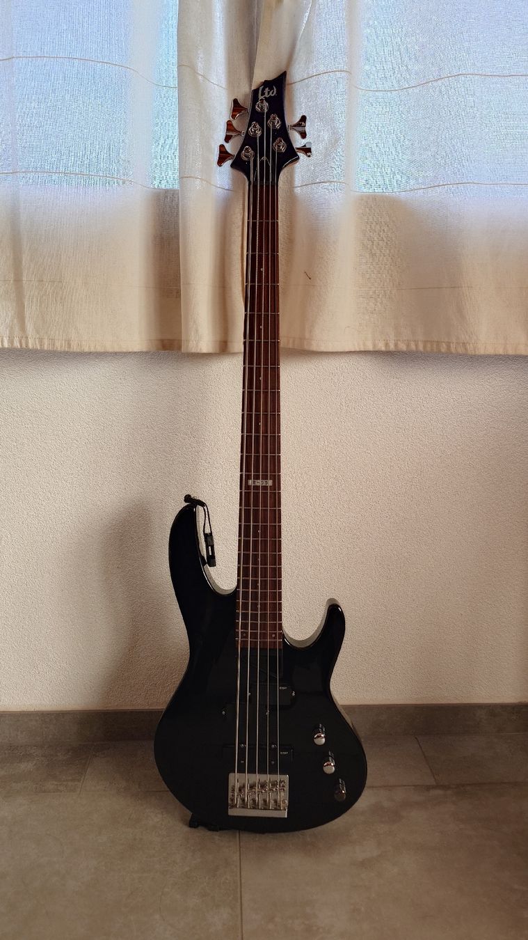 Musikinstrumente: Basse 5 cordes LTD B-55 – Gebraucht aus Flanthey von North_altitude