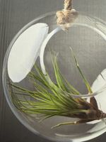 Dekokugel aus Glas, D=25cm, von Butlers