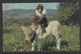 AFFE reitet auf Kalb     (R