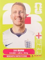 Panini FIFA World Cup ENG 8