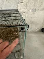 Terrarium in sehr gutem Zustand zu verkaufen