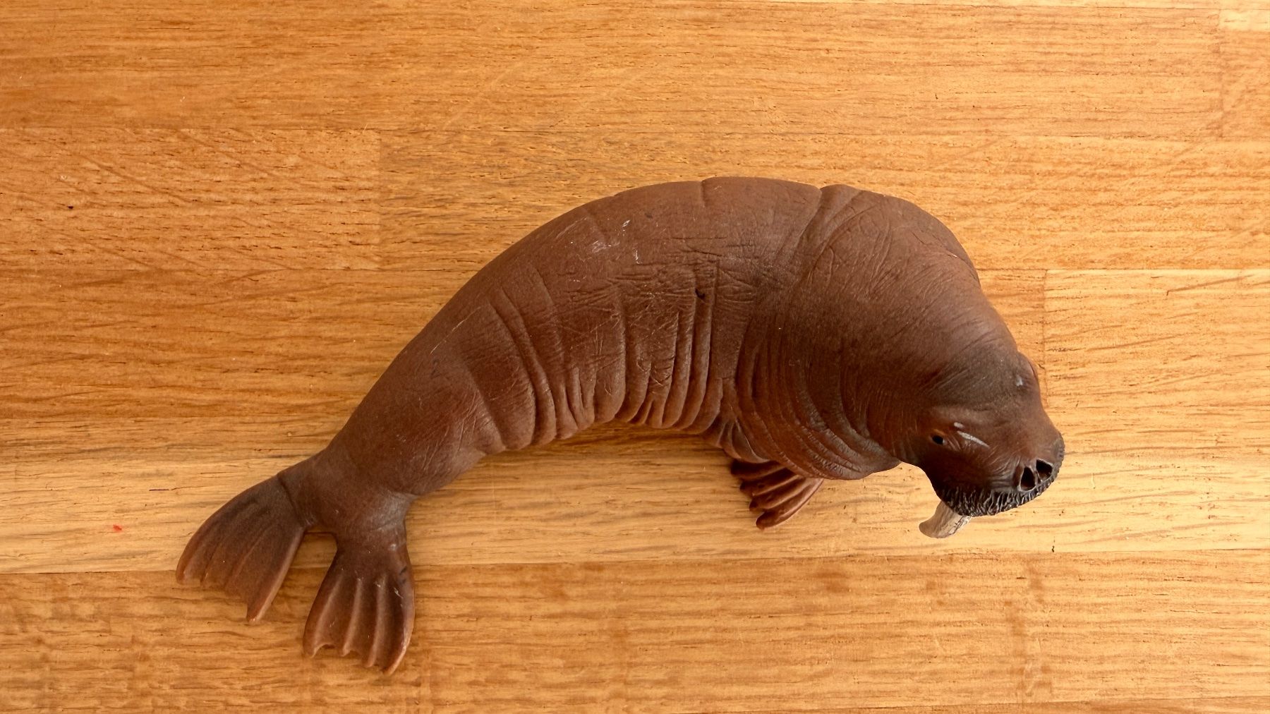 Schleich Giocattoli: SCHLEICH - Walross 14803 – Usato da Winterthur venduto da Secondhand-Family 4