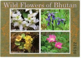Block "Blumen". Bhutan.