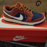 Nike Dunk Low Woman (38)