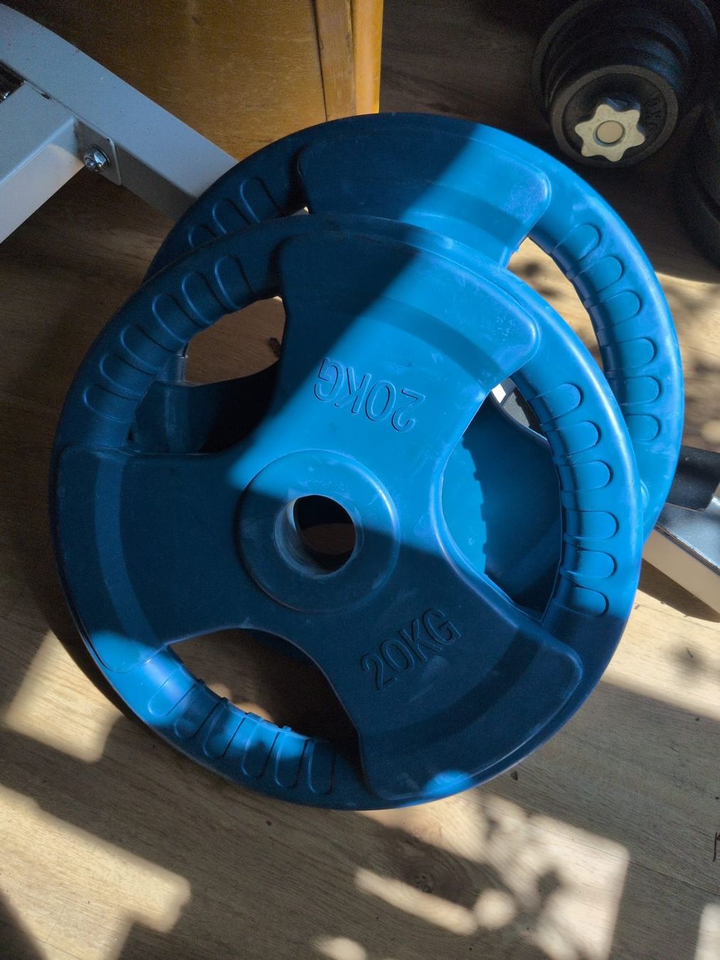 Piatti di portata: Verschiedene Gewichts Platten – Usato da Adliswil venduto da lul_5h6f 1