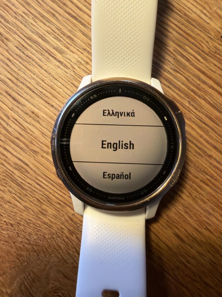 Garmin Smartwatch: Gaemin Fenix 6S Pro – Usato da Samedan venduto da laurigna 1