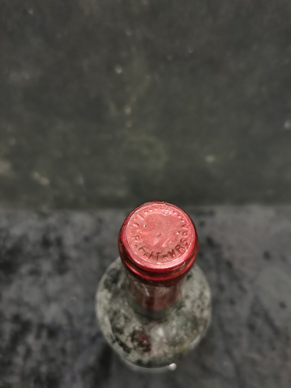 Vino: PRIMITOVO SALENTO 2016 – Nuovo (secondo la descrizione) da Genève venduto da Leboucheoreilles 4