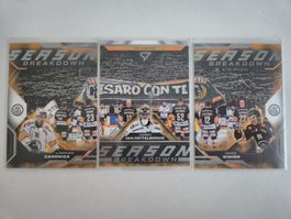 SportZoo Season Breakdown Lugano komplett