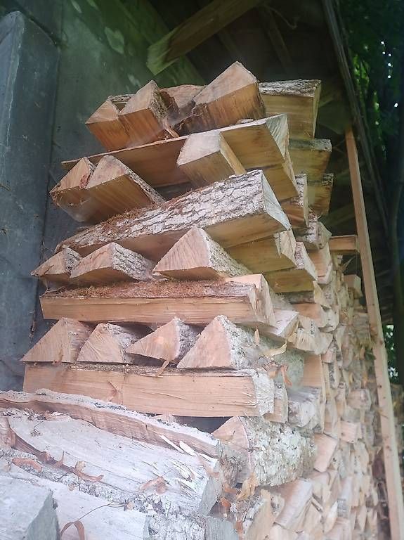 Articoli in legno: Brennholz Esche – Nuovo (secondo la descrizione) da Entlebuch venduto da Muesli05 3