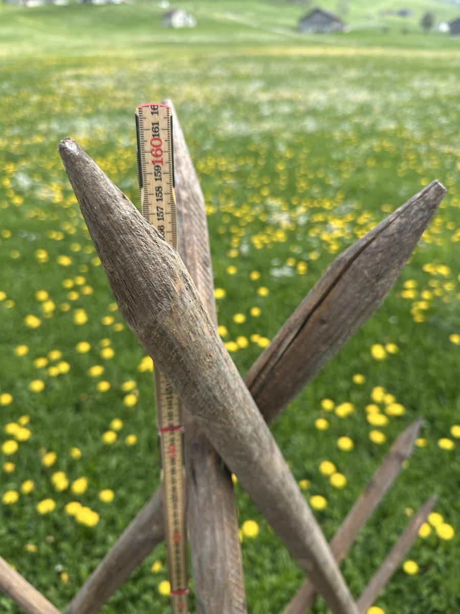 Altro in Utensili da giardino: Heinze – Usato da Schwende venduto da weesli 4