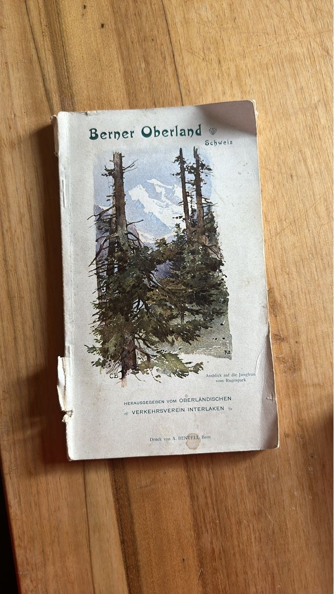 Libri: Wegleitung Berner Oberland, Erstausgabe 1901 – Usato da Frauenfeld venduto da aluma14