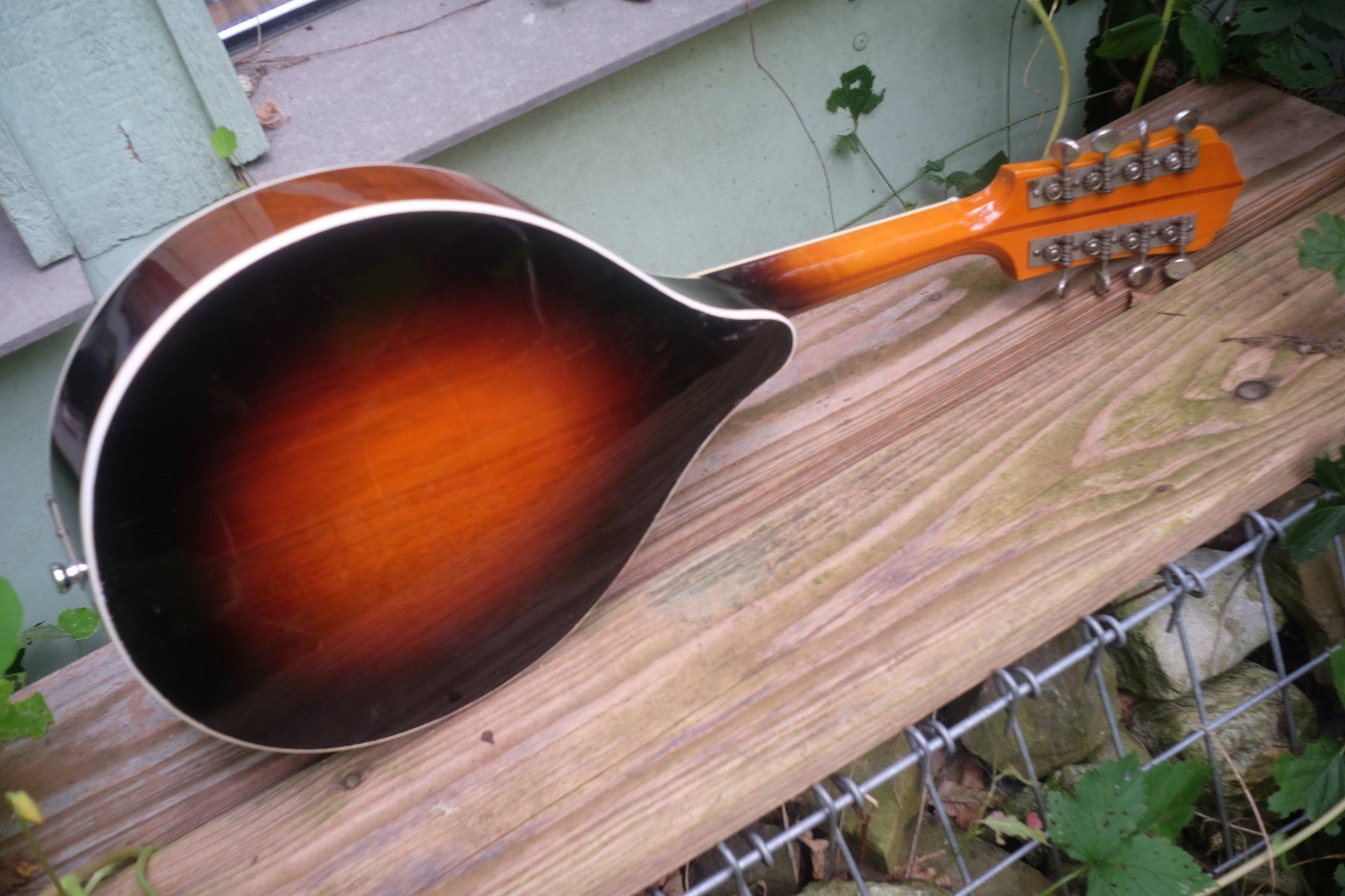Strumenti musicali: Levin Mandoline 1945 – Usato da Winterthur venduto da hermanadam 5