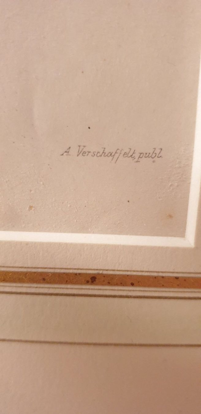 Incisioni: Stich  um 1860 – Usato da Winterthur venduto da han_m89f 6