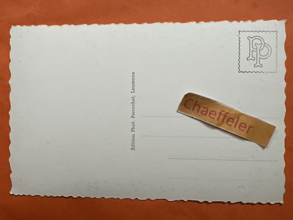 Cartoline postali: 8177  Château de Blonay – Usato da Zürich venduto da Chaeffeler 1