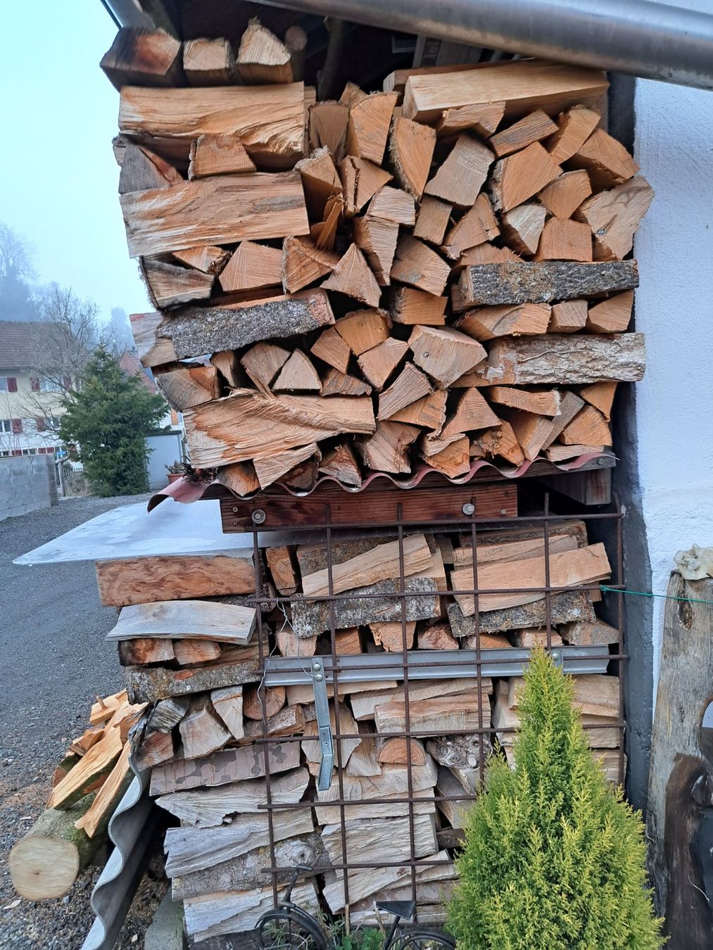 Articoli in legno: gut gelagertes Brennholz schnaeppchen – Nuovo (secondo la descrizione) da Benzenschwil venduto da 007tinu 1