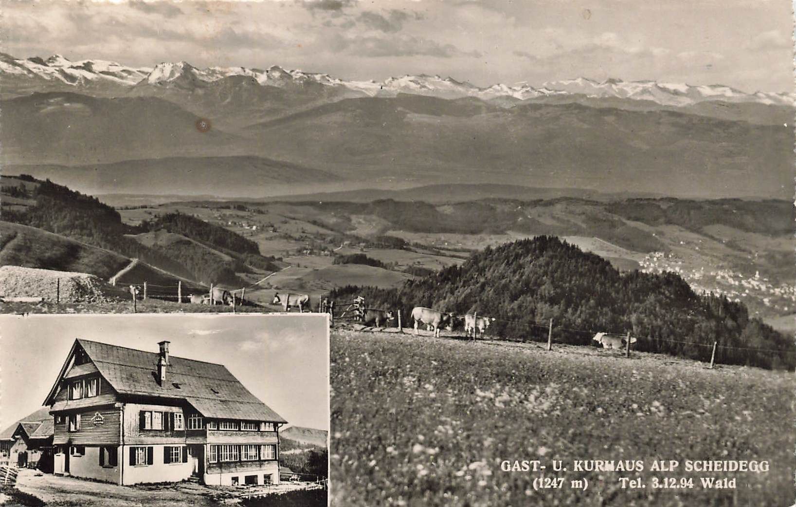 Cartoline postali: Gast Kurhaus als Scheidegg Wald – Usato da Biasca venduto da Blenio71