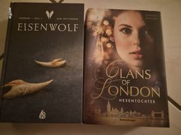 Hexen fantasy Bücher 