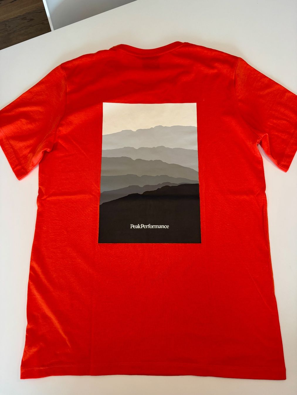 Peak Performance T-shirt: Peak Performance T-Shirt – Usato da Domat/Ems venduto da cowi 1