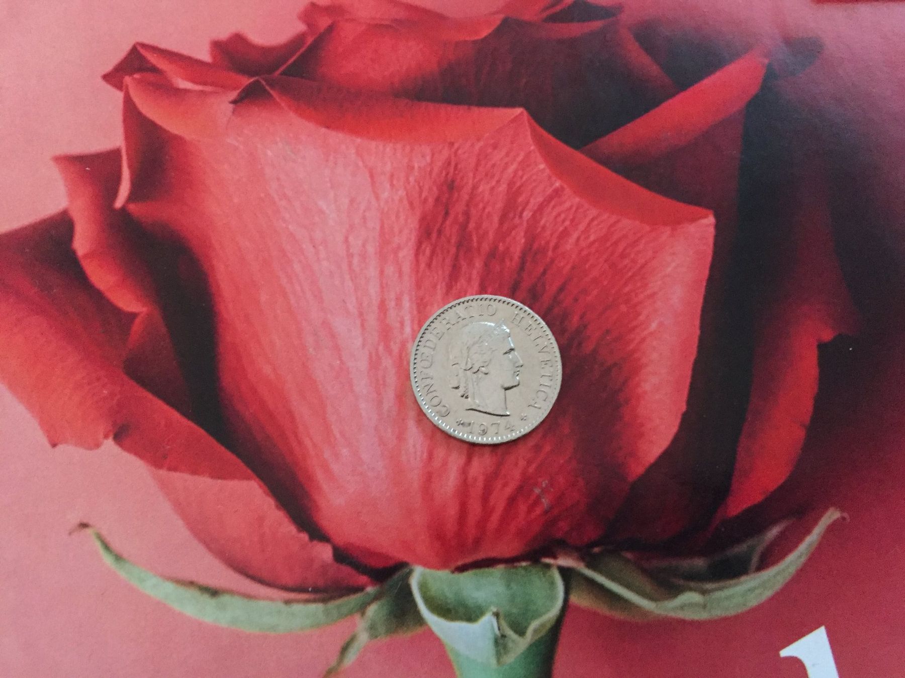 Tutti le monete: 5 Rappen 1974 ss-vz – Usato da Elsau venduto da herbybay 3