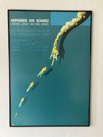 Poster Amphibien der Schweiz, Claude Kuhn Klein
