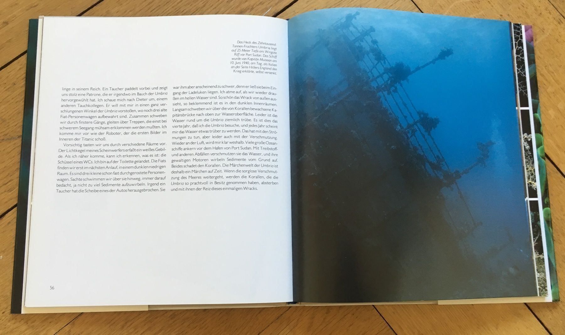 Libri: Das Meer lebt – Usato da Basel venduto da Ostschweiz06 3