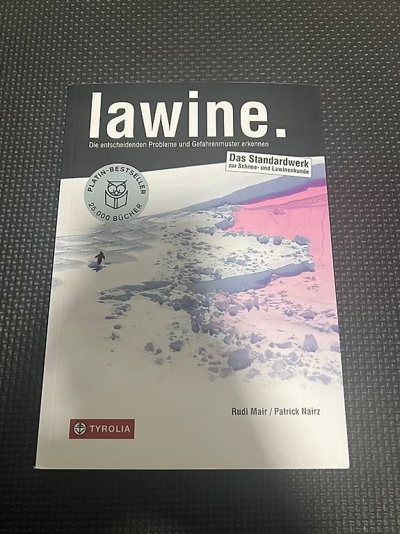 Libri: Lawine Buch – Usato da Brunnen venduto da san_9qlb