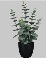 Kunstpflanze/Eukalyptus