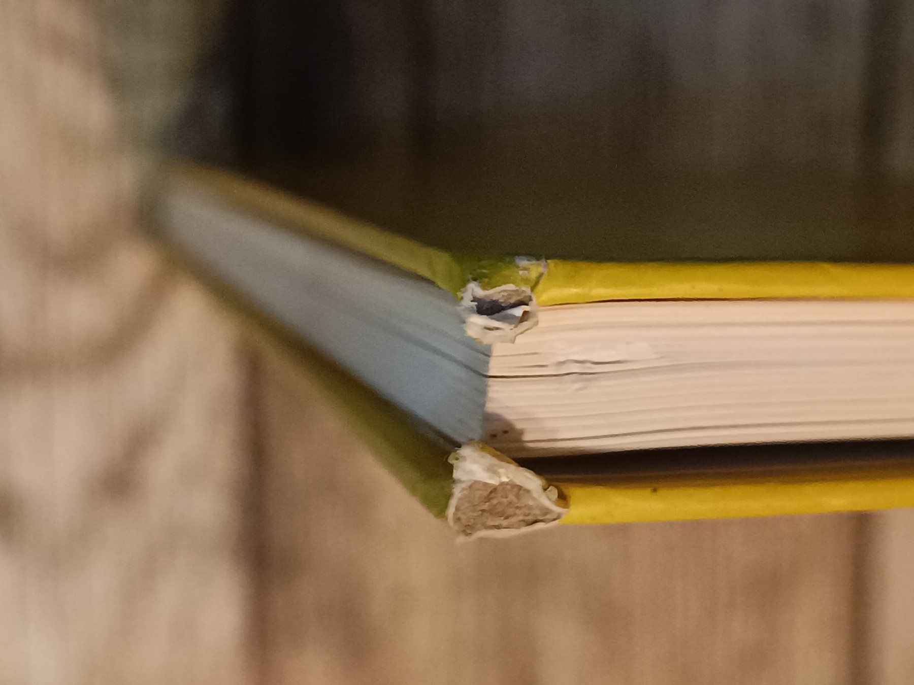Libri: Eigentlich wollen wir ja hier bleiben Schürmann – Usato da Reiden venduto da Zofi-Brocki 4