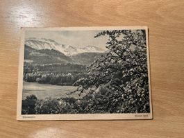 Alte Ansichtskarte mit Frühlingsmotiv, gelaufen!