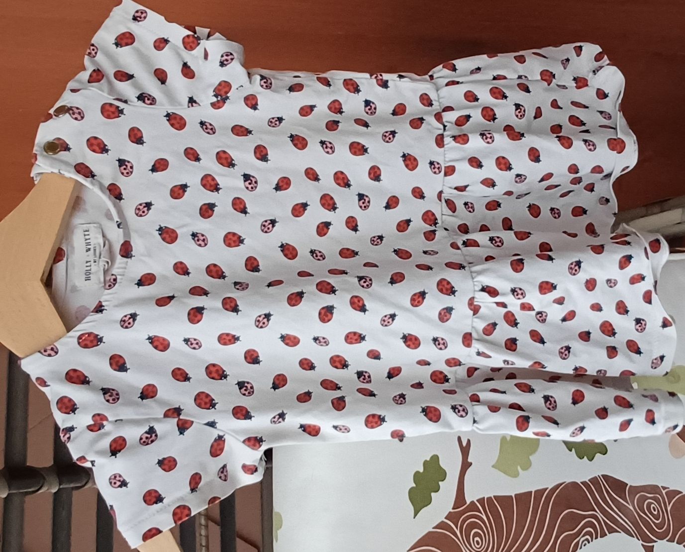 Vestiti & Gonne: Mädchenkleid Marienkäfer Grösse 74 – Usato da Riniken venduto da Lessy-